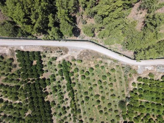 Ortaca Çaylı'da Satılık 1,636 M2 Tarla - Tek Tapu