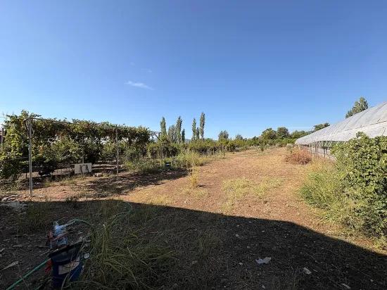 Ortaca Çaylı da 1.870 M2 Satılık Tarla, Elektrik ve Su Mevcut