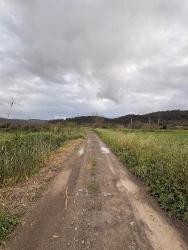 Muğla Ortaca Mergenli Mah. 7.088 M2 Hisseli Satılık Tarla