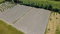 Ortaca Fevziye Mah. 6006 M2 Müstakil Tek Tapu Satılık Tarla