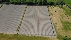 Ortaca Fevziye Mah. 6006 M2 Müstakil Tek Tapu Satılık Tarla