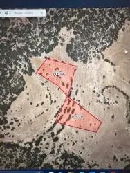 Kaş Cemre Yaylapalamut Mah. Satılık Tarla - Tarla İmar Durumlu - 3.350 m²