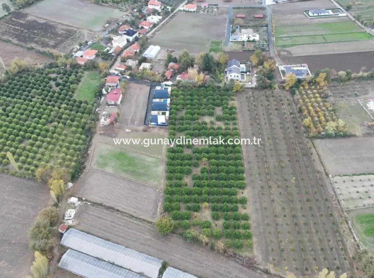 Okçularda 9762 M2 Müstakil Tapu Tarla Satılık