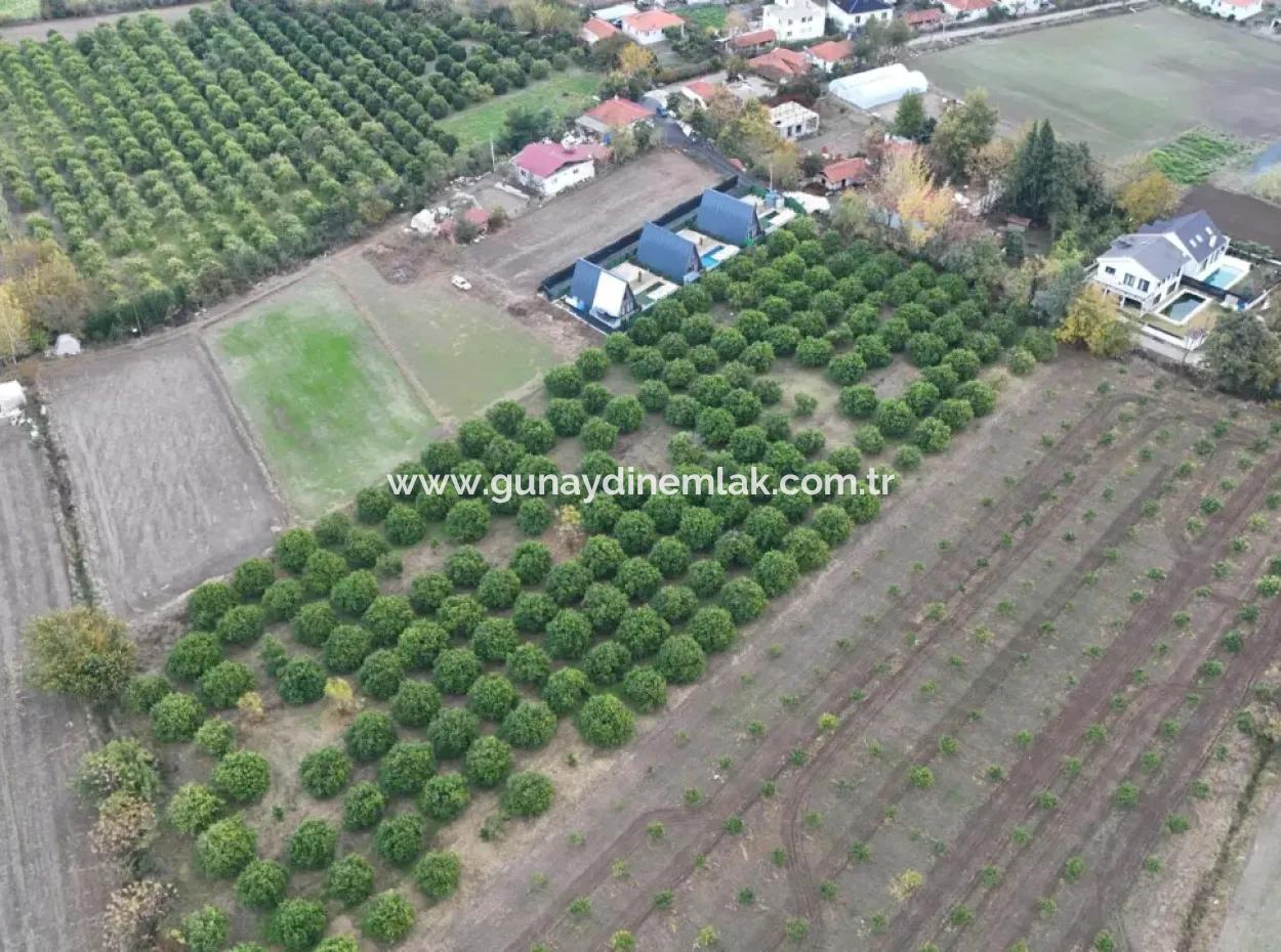 Okçularda 9762 M2 Müstakil Tapu Tarla Satılık