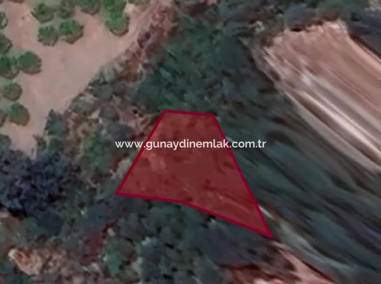 Okçularda 314 M2 Hisseli Satılık Tarla