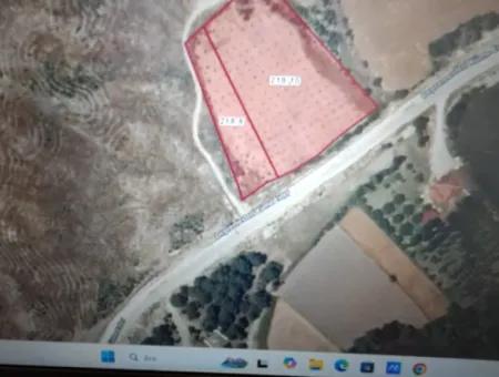 Burdur Gölhisar Evcilerde 10378 M2 Tek Tapu Satılık Tarla