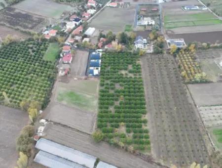 Okçularda 9762 M2 Müstakil Tapu Tarla Satılık