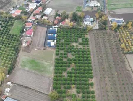 Okçularda 9762 M2 Müstakil Tapu Tarla Satılık