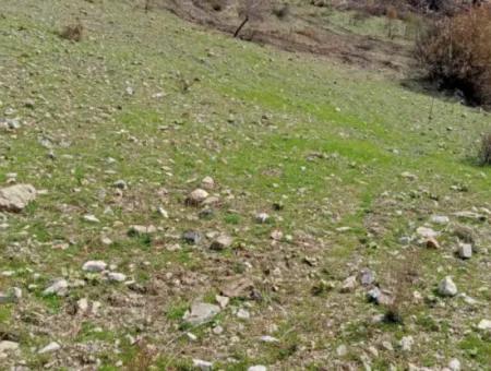 Dalaman Elcikte 8000 M2 Tek Tapu Satılık Tarla
