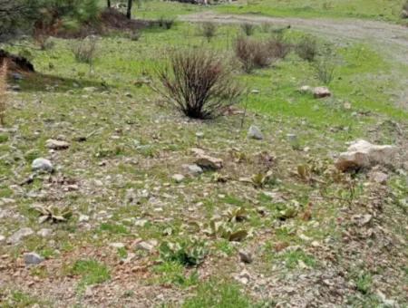 Dalaman Elcikte 8000 M2 Tek Tapu Satılık Tarla