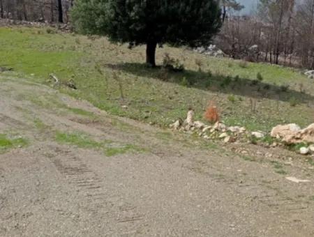 Dalaman Elcikte 8000 M2 Tek Tapu Satılık Tarla