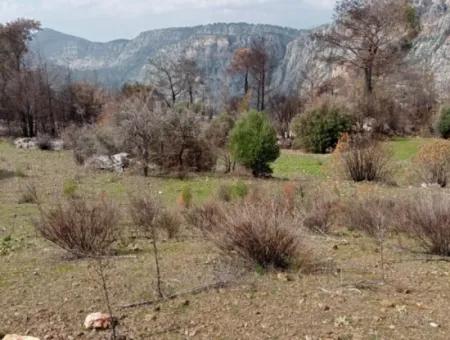 Dalaman Elcikte 8000 M2 Tek Tapu Satılık Tarla