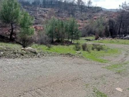 Dalaman Elcikte 8000 M2 Tek Tapu Satılık Tarla