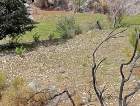 Dalaman Elcikte 8000 M2 Tek Tapu Satılık Tarla