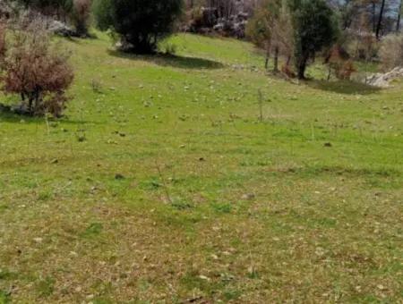 Dalaman Elcikte 8000 M2 Tek Tapu Satılık Tarla