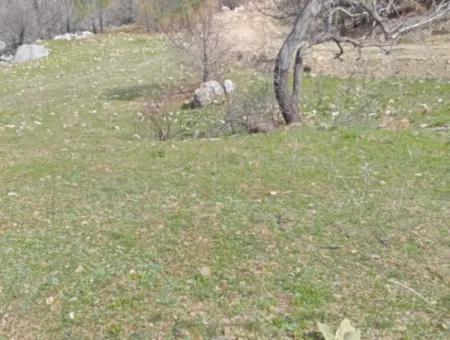 Dalaman Elcikte 8000 M2 Tek Tapu Satılık Tarla