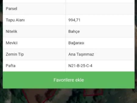 Denizli Tavasta 994 M2 Tek Tapu Satılık Bahçe