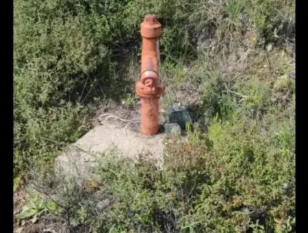 Dalaman Bozbelde Müstakil Tapulu Tarla