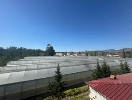 Dalaman Cadde Üzeri Sıfır 1+1 Daire