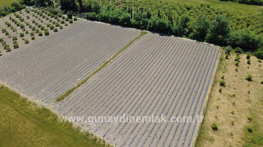 Ortaca Fevziye Mah. Satılık Tarla - Tarla İmar Durumlu - 6.006 m²
